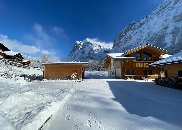 Apartment Bergwohl Grindelwald